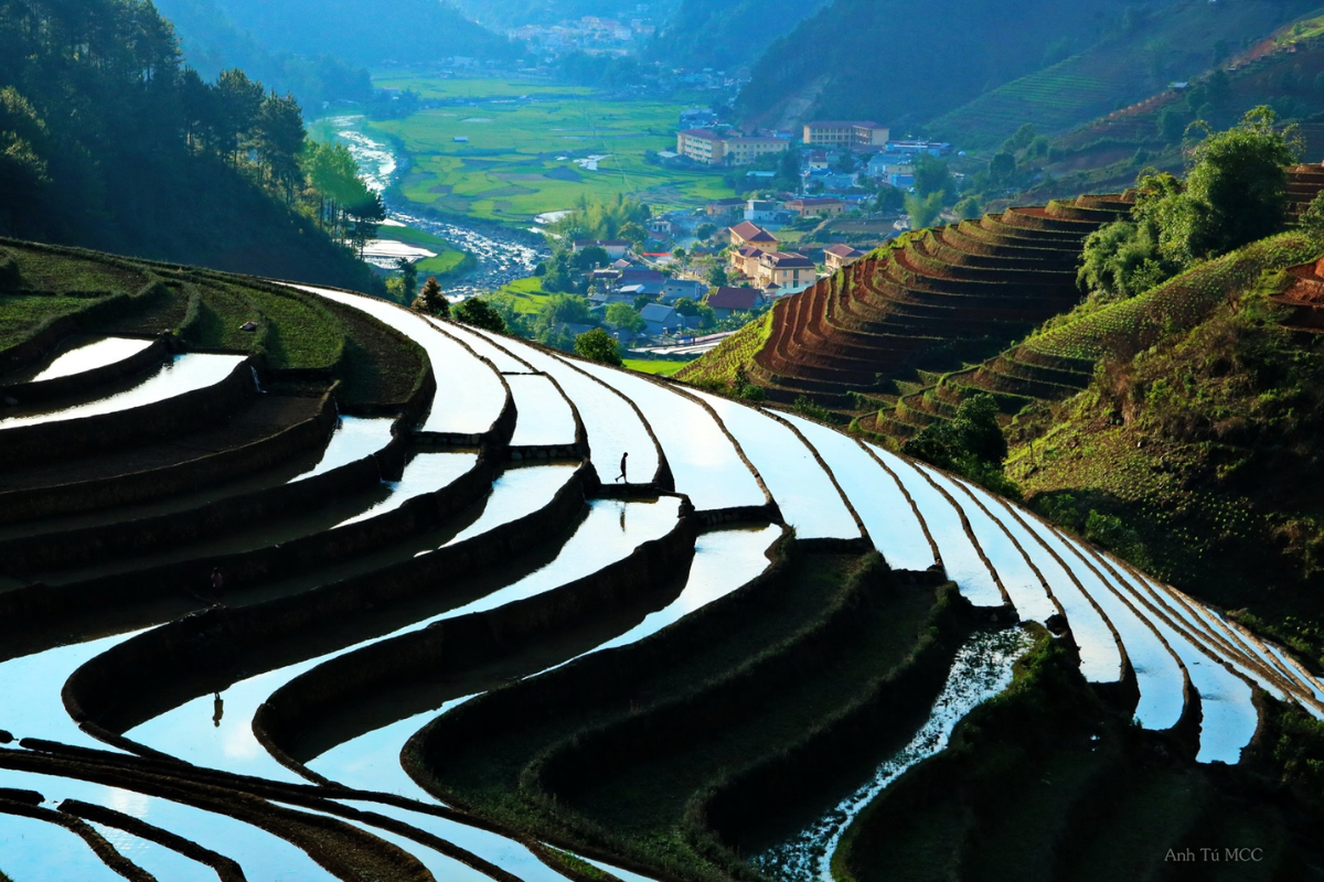Water-filled rice terraces in Sapa, Vietnam